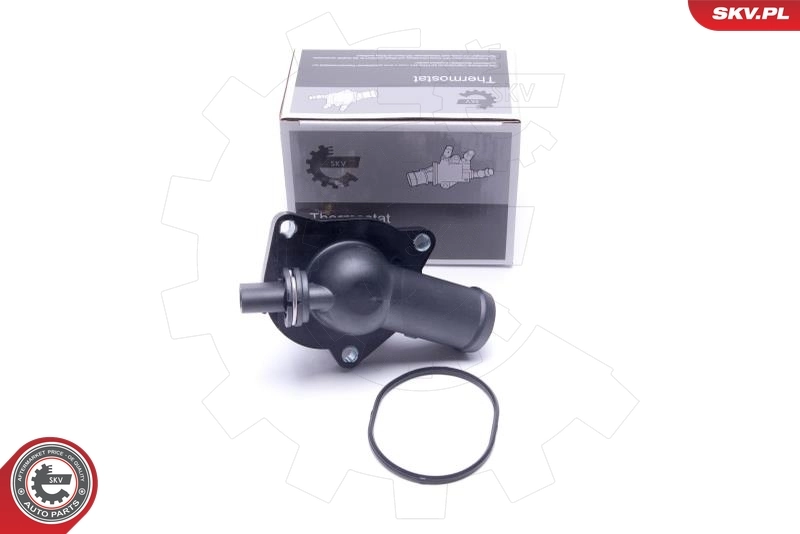 Thermostat, coolant